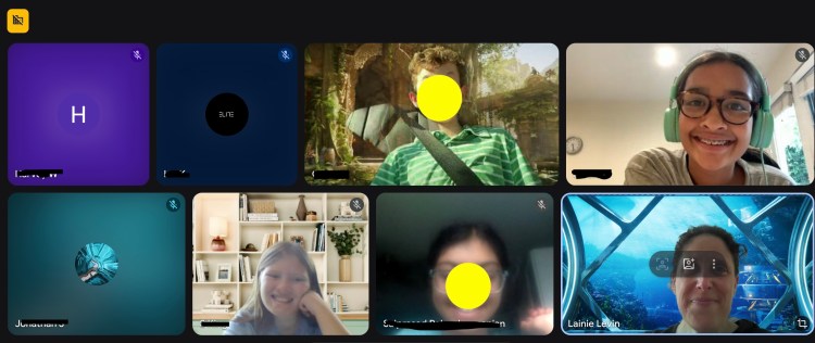 Screen shot from a Google Meet