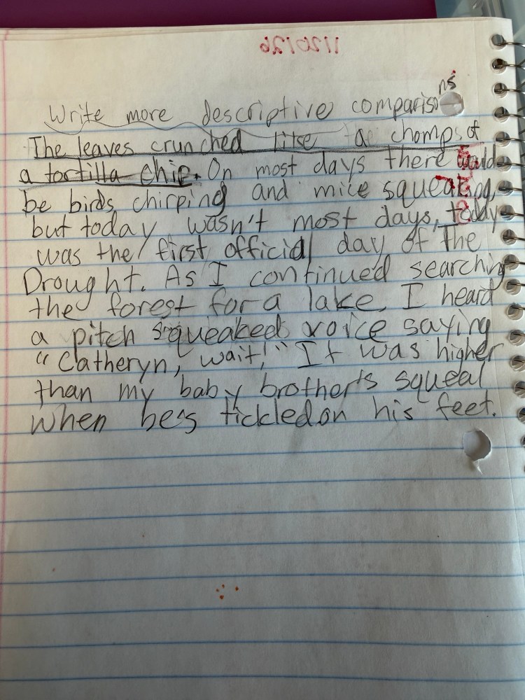 photo of a notebook with descriptive writing in it