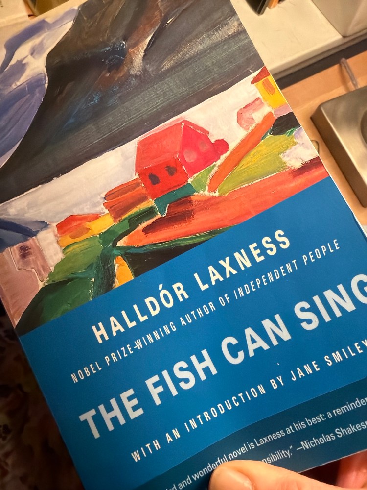 Photo of the book "The Fish can Sing"