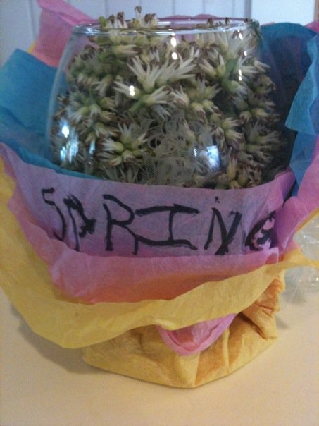 Bowl of flowers with "Spring" label